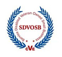 sdvosb.2504171143355